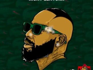 Ricky Lenyora Sthombe Esihle Remix Mp3 Download