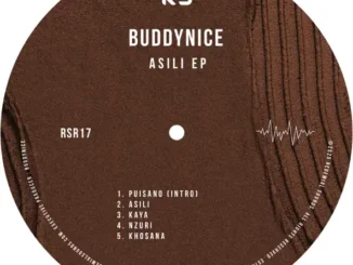 Buddynice Asili EP Download