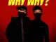 Kaycherlow NLL Why Why Mp3 Download