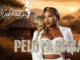 Makhadzi Pelo Ya Baba Mp3 Download