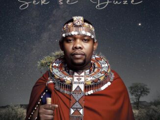 Njelic Sek'se Duze Mp3 Download