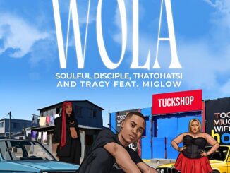 Soulful Disciple Wola Mp3 Download