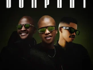 Still That Combo Dumplets Mp3 Download