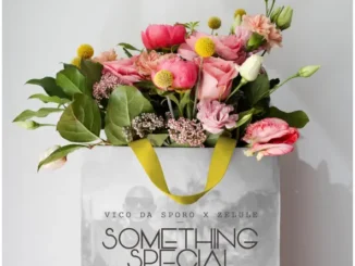 Vico da sporo Something Special Mp3 Download