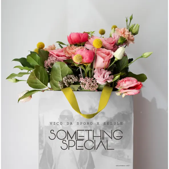 Vico da sporo Something Special Mp3 Download