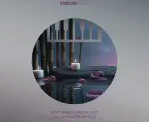 Blac Tears Co-Ordinates of Tech Mp3 Download