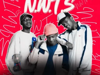 Cue And Play Izinja Zamjebhula Party Pack Mp3 Download