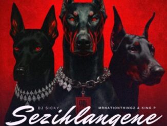 DJ Sicky Sezihlangene Mp3 Download