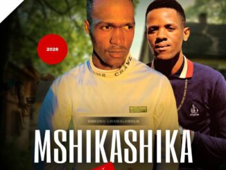 Dlamini Shika's Mshikashika Usuku Lwamalobolo Mp3 Download