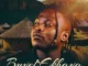 Mduduzi Ncube Phakathi othandweni Mp3 Download
