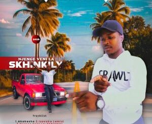 Mlamanisi Amazwi kamkhulu Mp3 Download