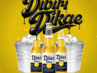SdoDiroba Dibiri Dikae Mp3 Download