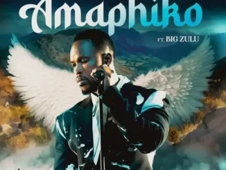Siya Ntuli Amaphiko Mp3 Download