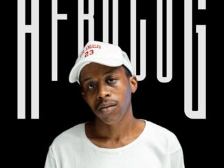 Various Artists King Of AfroLog EP Download