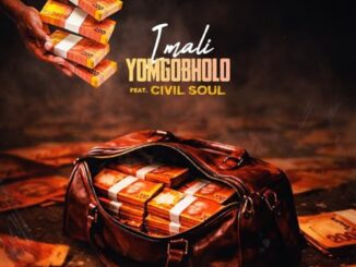 Busta 929 iMali Yomgobholo Mp3 Download