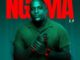 Lebza TheVillain Mujava's Funk Mp3 Download