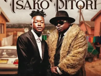 Myztro Tsako Pitori Mp3 Download