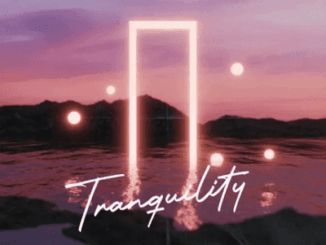 SirRoonieTheDJ Tranquility EP Download