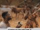 SjavasDaDeejay Nomathemba Mp3 Download
