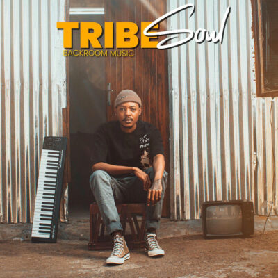 TribeSoul Dala Mp3 Download