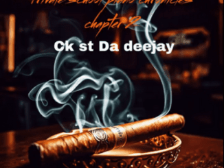 Ck St Da Deejay Private School Piano Chronicles Chapter 2 Album Download