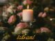 HIKEYZ Isibani Mp3 Download