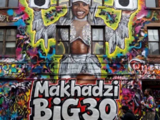 Makhadzi Entertainment Mabozaa Mp3 Download