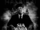 Sia_TheBee Sia le Andza Mp3 Download