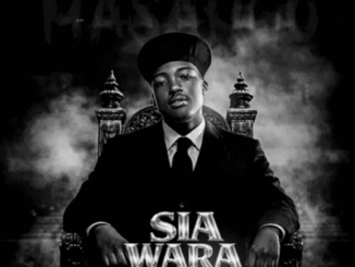 Sia_TheBee Why Me Mp3 Download