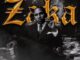 Teet Snxadu Zaka Mp3 Download
