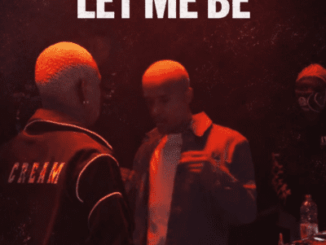 The Second Voice Let Me Be (Amapiano Dance) Mp3 Download