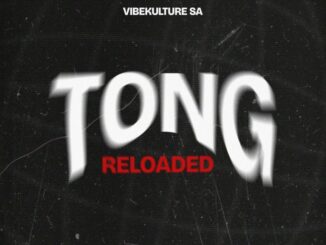 Vibekulture SA Midnight Bounce Mp3 Download