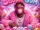 Z4DE Theke Experiment Mp3 Download