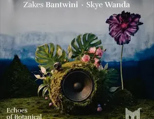 Zakes Bantwini Never Meant For Me Mp3 Download