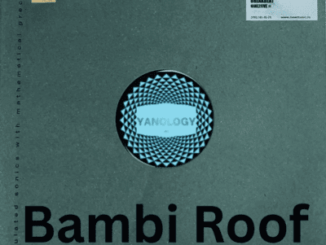 Ben Produces Bambi Roof Mp3 Download