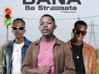 Sabza Womqulo Bana Ba Straata 2.0 (Sgija Version) Mp3 Download