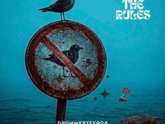 DrummeRTee924 Warthog Bass Mp3 Download