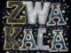 Kamo 9ine Zwakala Mp3 Download