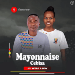 Mayonnaise Cebisa If I Were A Boy Mp3 Download