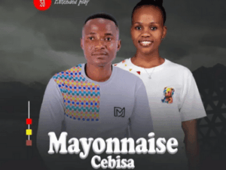 Mayonnaise Cebisa If I Were A Boy Mp3 Download