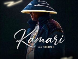 PureVibe Kamari Mp3 Download