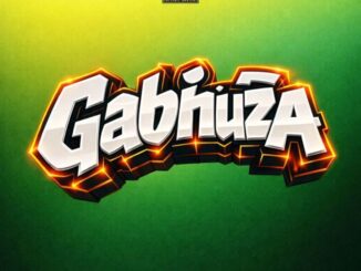 Siggboyz Gabhuza Mp3 Download