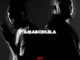 Teraphonique Amabodlela Mp3 Download