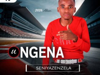 uNgena Usizi Mp3 Download